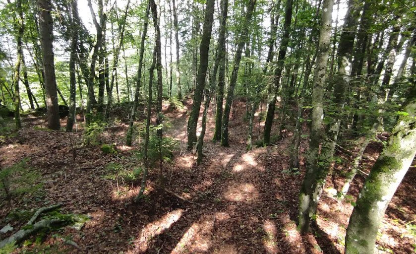 Grad Kravjek, Leščevje, Slovenia, Slovenia